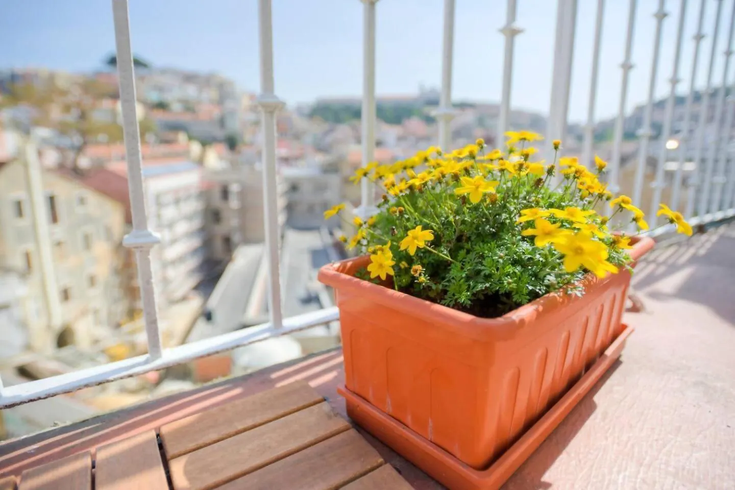 Lisbon Martim Moniz Apartment